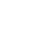 The Talisman Group, LLC (TTG) Logo